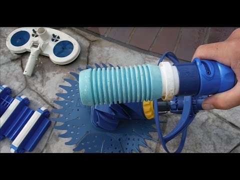 how to decide your zodiac