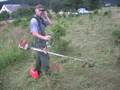 stihl fs 350