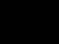 [ Video Art ] "Portrait of Dream"