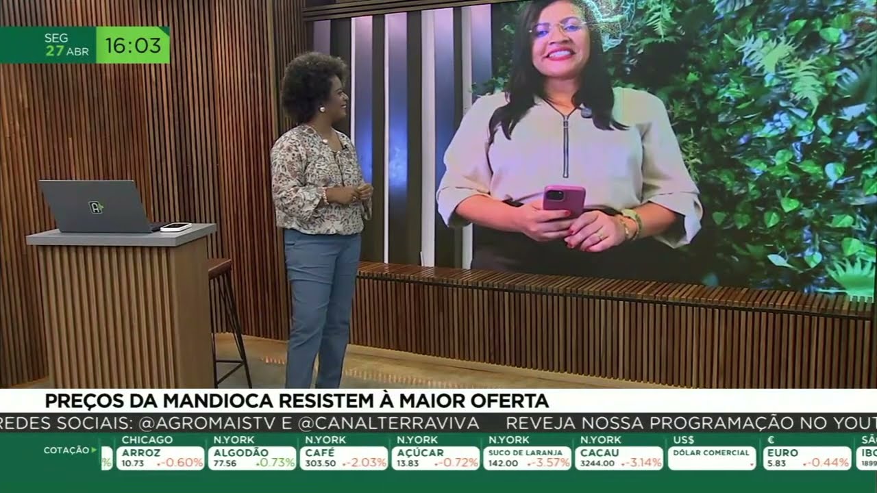 Preços da mandioca resistem à maior oferta