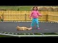 Кот и батут