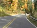 Autumn Leaves 2008