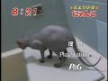 bath time 4