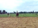 oefenen wijken