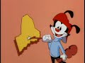 Wakko's 50 State Capitols - YAKKO'S WORLD