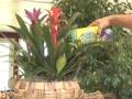videos de Brighter Living: Terracycle