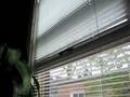 Rise and Shine Automatic Window Blinds