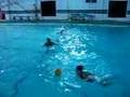 waterpolo Olimpo Bahia Blanca