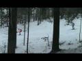 Eveli laskub (Idre IBU Cup)