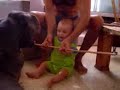 Great Dane  vs. Baby
