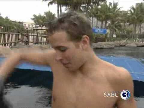 Chad le Clos and Janez swim with sharks 