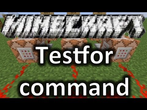 how to use the testfor command