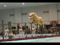 Muar Traditional/Jongs Championship - Kun Seng Keng