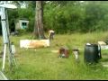videos de Explosives in my back yard