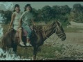 Nauta - Pipi Vela