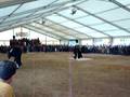 videos de murgese balla la pizzica(martina franca)parte 2.mpg