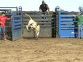 videos de #805