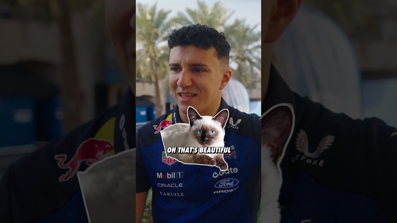 He knows his cats 😻 #F1 #RedBullRacing