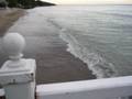 videos de Ivory Song: Wave