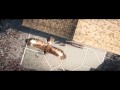 Assassin s Creed Brotherhood E3 Trailer