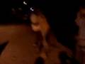 videos de el baile