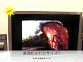 EIZO FlexScan HD2452W ????