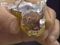 Chinese Counterfeit Chocolate with Larvae Warms Chinese Counterfeit Chocolate with Larvae Warms