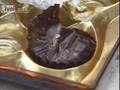 Chinese Counterfeit Chocolate with Larvae Warms
