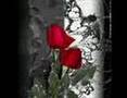 clip video D.J. Muggs Dead Flowers