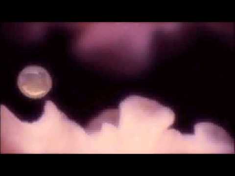 how to fertilize twins