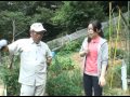 [画像]
