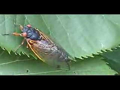 how to isolate from society