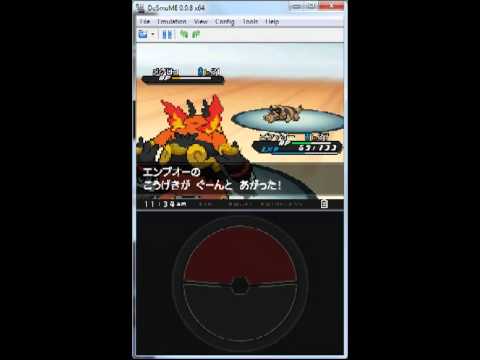 how to get a zorua in pokemon black 2
