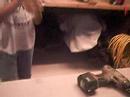 b.g's lab 2