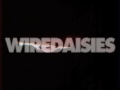 wire daisies, make everything change, out now on itunes, amazon, rhapsody, and all other major digital retailers. the uk's best kept secret is coming to america.

for more information please visit www.wiredaisies.com 

� 2008 emi / transistor project / mrv
