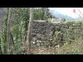 On Schwanau Insel