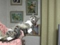 幼少の頃のピッピ3♪