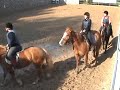 Saggio Equestre 2008