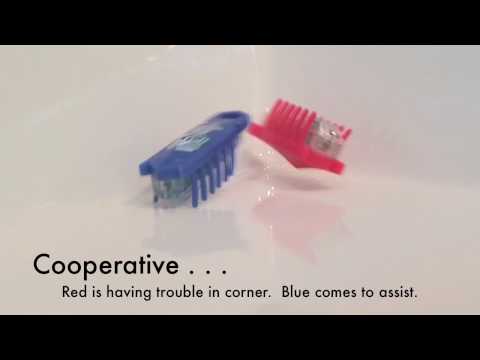 HEXBUG Nano Slow Motion