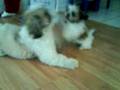 videos de KINI&KOBY PLAYING IN THE HOUSE PART1