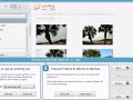 Backup photos with Picasa