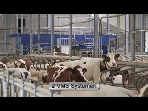 VMS op een MRIJ-bedrijf