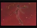 sailor moon stars ep  188 2/2 español mx