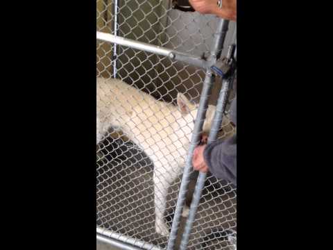 how to control your 2 yr old