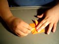 Origami Frog