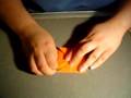 Origami Frog