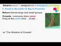 Swarmteams 4 bio principles with commentary by Ken Thompson