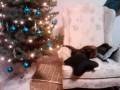 videos de Anabelle and the Christmas Tree