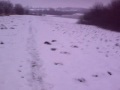 favourite runs - Bewl