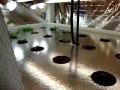 Urban Garden 800 plants in 90 square feet!